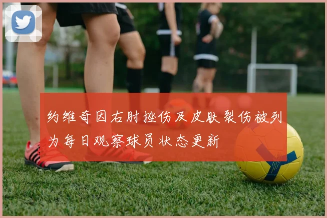 约维奇因右肘挫伤及皮肤裂伤被列为每日观察球员状态更新