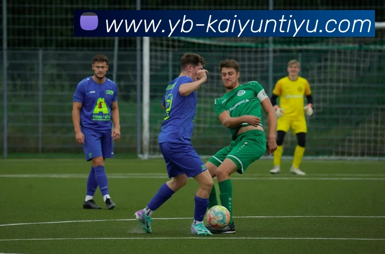 开云体育APP 高清赛事图